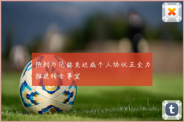 热刺与范赫克达成个人协议正全力推进转会事宜