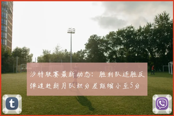 沙特联赛最新动态：胜利队连胜反弹追赶新月队积分差距缩小至5分